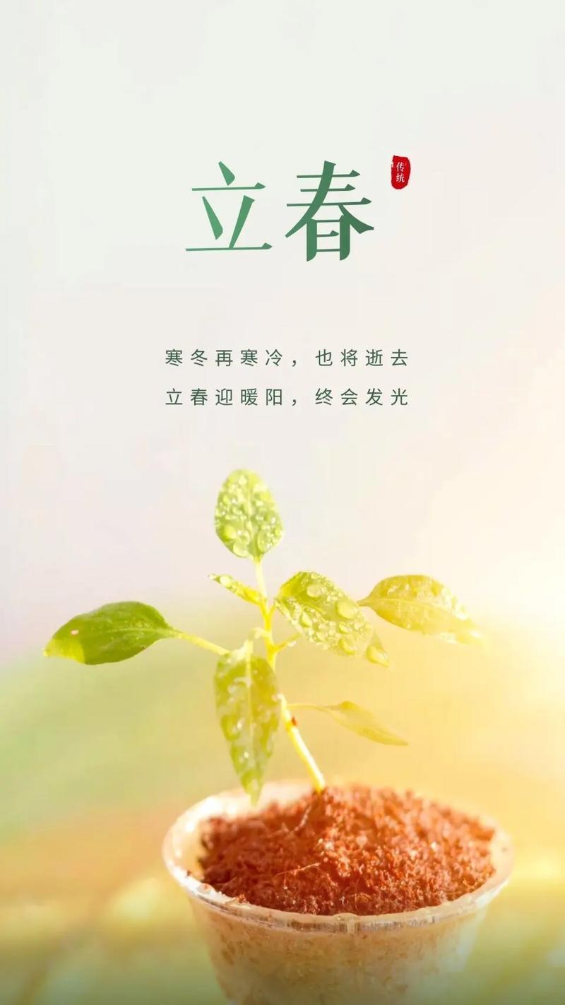 立春开过什么生肖的花:立春开过什么生肖的花呢