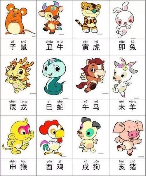 今期生肖六六来打一肖:今期生肖六六来是什么动物