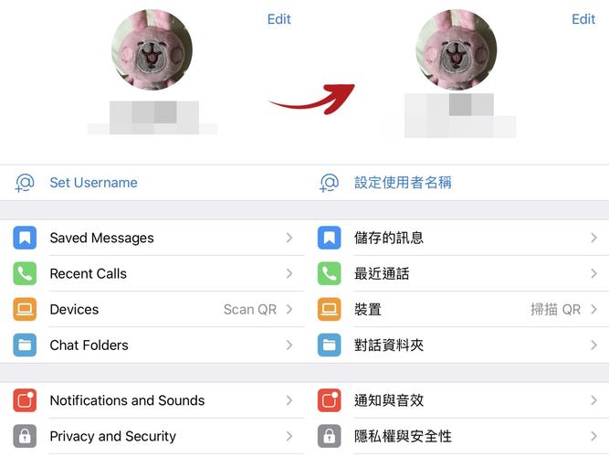telegram国内违法吗:telegram中国可以用吗?