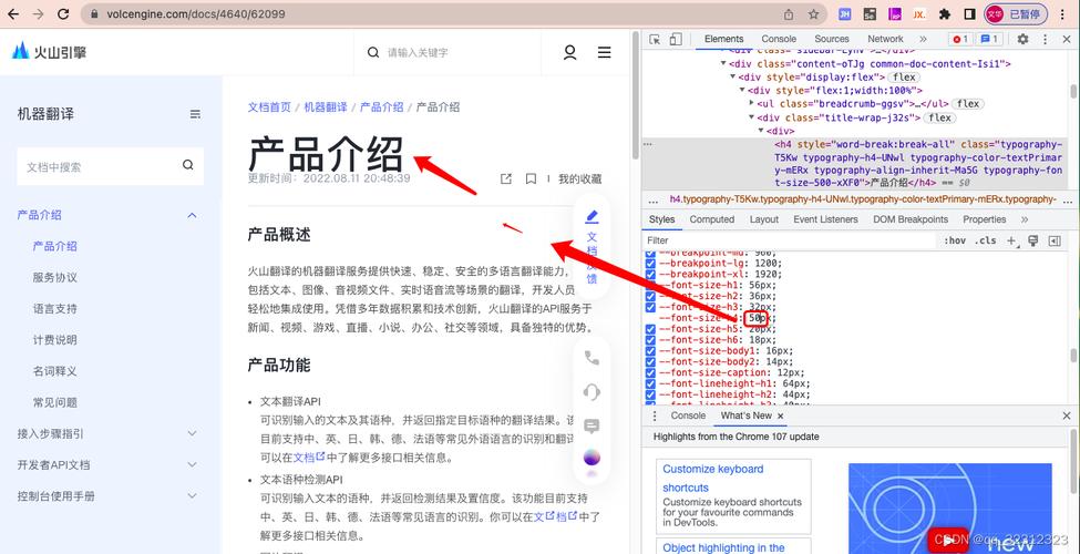 谷歌网页:谷歌网页字体怎么调大小
