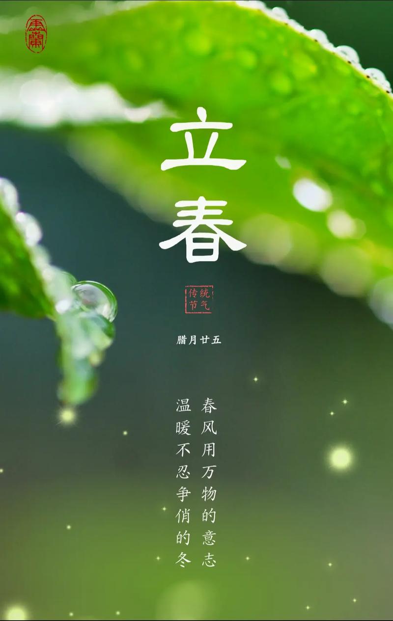 立春打一个最准生肖:立春打一个最准生肖是什么