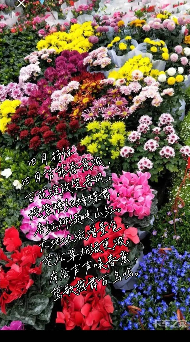 春满大地百花开什么生肖:春满大地百花开是什么意思