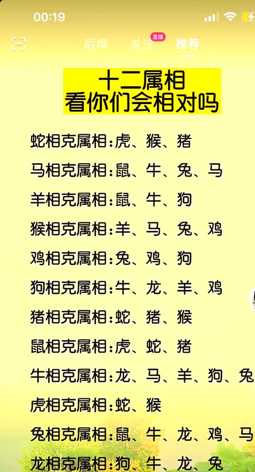 什么生肖克龙肖:十二生肖什么生肖克龙