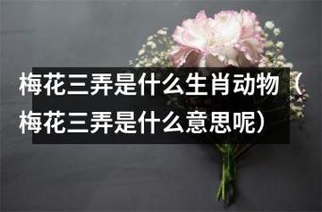 今期生肖不胜梅打一正确生肖的简单介绍