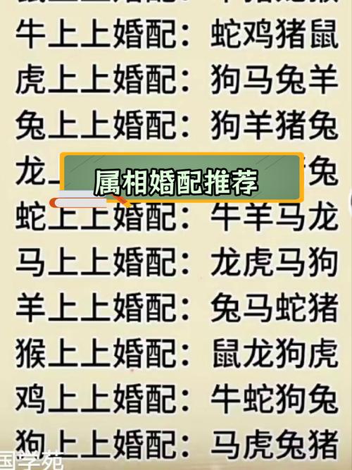 今期就看小数号打一最佳动物:今期就看小数号蛇猪虎肖有参考