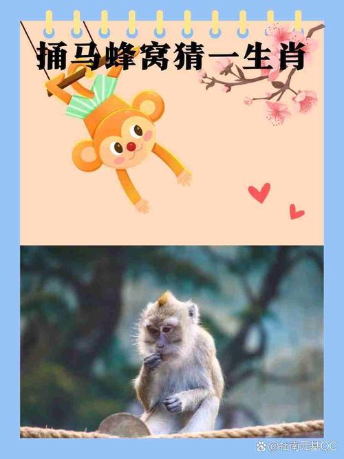 变化最大的动物打一生肖最佳答案的简单介绍