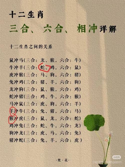 今期生肖在一门指生肖是什么生肖:今期生肖在一门指生肖是什么生肖呢