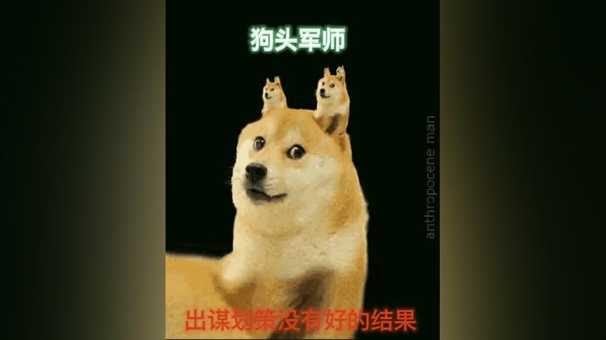 师打一生肖是什么动物:狗头军师打一生肖是什么动物