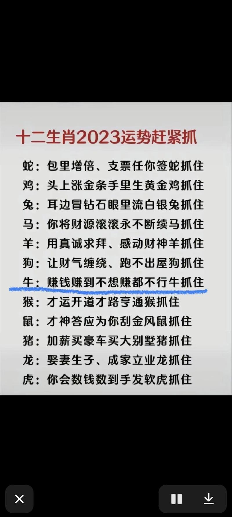今期生肖开红花是什么生肖:今期生肖是红花,生肖还需自己查是什么生肖