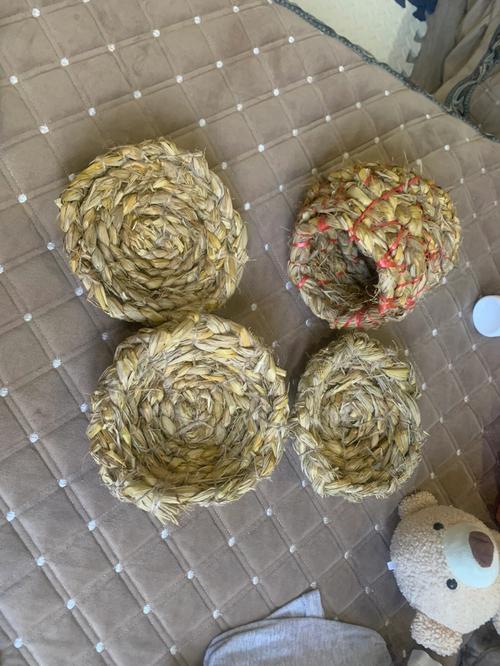 自己造鸡窝的方法:自己造鸡窝的方法有哪些