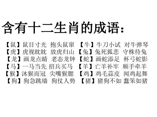 鼠目寸光打一生肖:鼠目寸光打一生肖最佳答案是什么