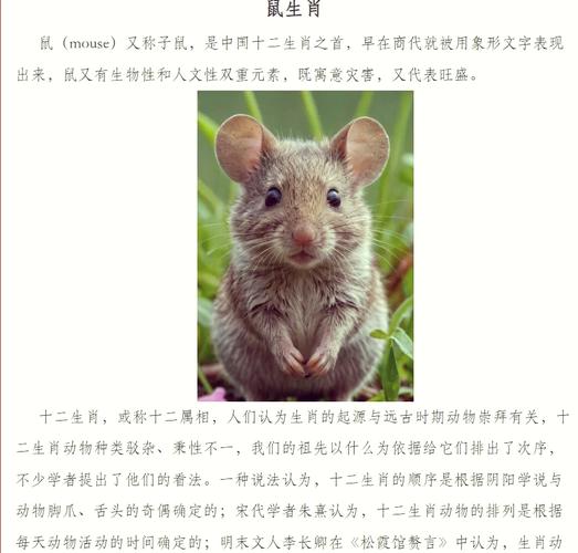 关于“人地生疏”打一个生肖动物的信息
