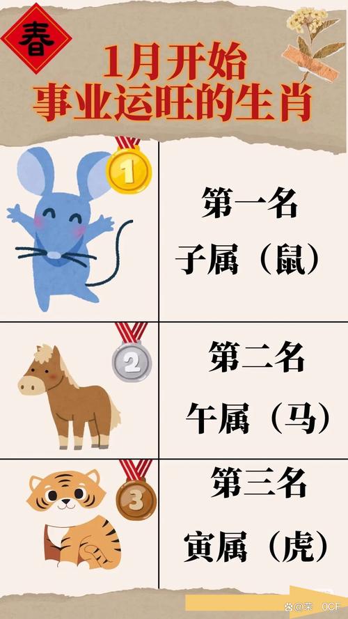 星光灿烂打一生肖动物:星光灿烂猜一动物和生肖