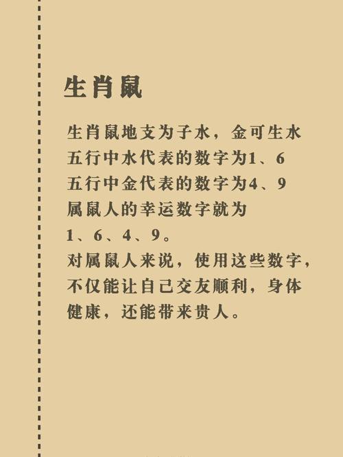 玄机代表数字几:玄机字代表什么生肖