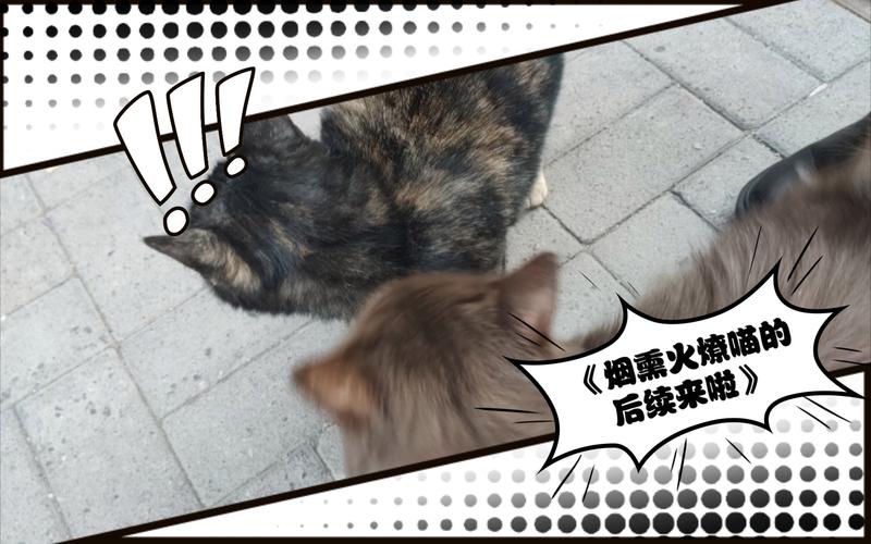 “烟熏火燎”打一动物生肖:烟熏火燎怎么读音是什么意思