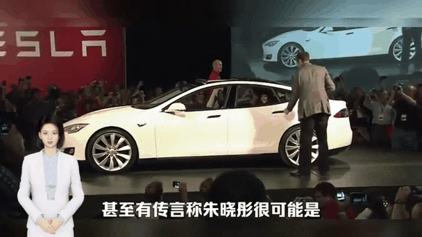 特斯拉股票价格今天是多少钱？最新市场动态与投资策略分析